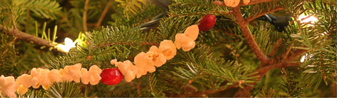 Making a Popcorn Garland for the Christmas Tree