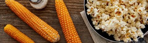 The Science Behind Unpopped Popcorn Kernels